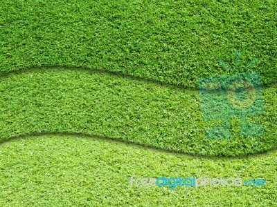 Three Layer Of Green Grass Stock Photo