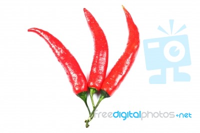 Three Red Hot Chili Peppers Isolated On White Stock Photo