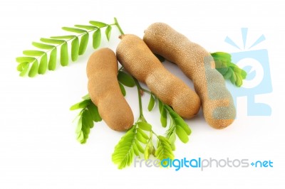 Three Tamarind On Leaf Stock Photo