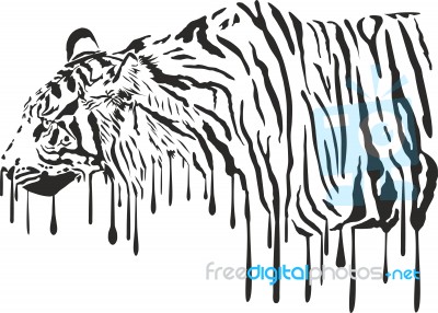 Tiger, Abstract Painting On A White Background Stock Image