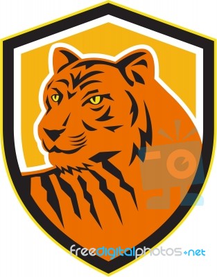 Tiger Head Front Crest Retro Stock Image