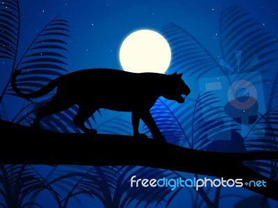 Tiger On Tree Indicates Wild Animals And Beast Stock Image