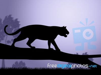 Tiger On Tree Indicates Wild Animals And Predator Stock Image