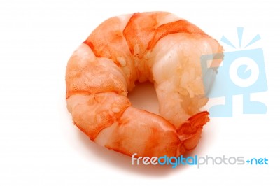 Tiger Prawn Stock Photo