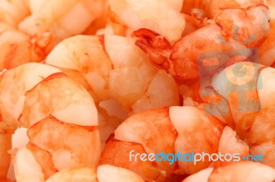 Tiger Prawns Stock Photo