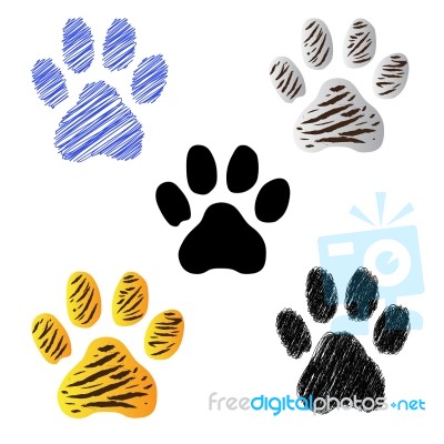 Tigerfootprintcollection Stock Image