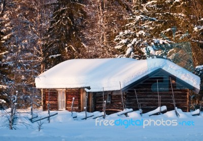 Timber Cabin Stock Photo