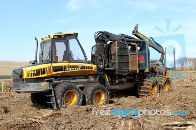 Timber Forwarder On Clear Fell Land Stock Photo