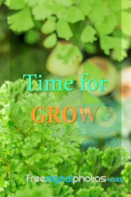 Time For Growth. Inspirational Quote Stock Image