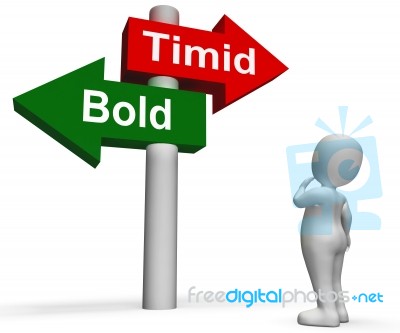 Timid Bold Signpost Means Fear Or Courage Stock Image