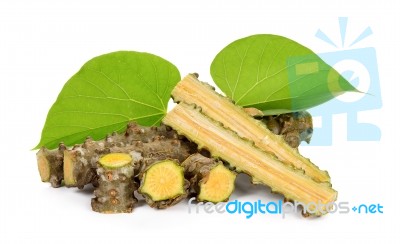 Tinospora Cordifolia Herb Isolated Stock Photo