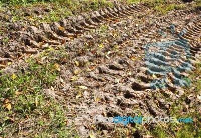 Tire Track Of Tractor On Muddy Road Stock Photo