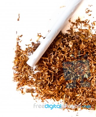 Tobacco Stock Photo