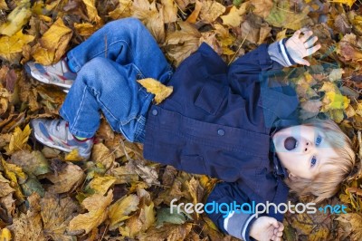 Toddler Blond Boy With Blue Eyes Lays On Bed Of Autumn Fallen Le… Stock Photo