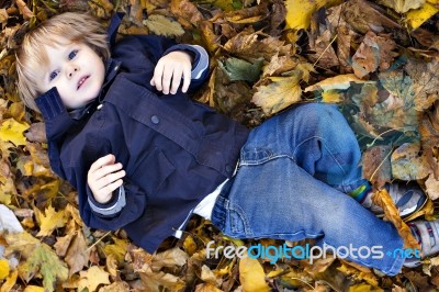 Toddler Blond Boy With Blue Eyes Lays On Bed Of Autumn Fallen Le… Stock Photo