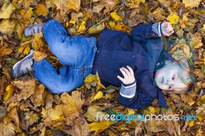 Toddler Blond Boy With Blue Eyes Lays On Bed Of Autumn Fallen Le… Stock Photo