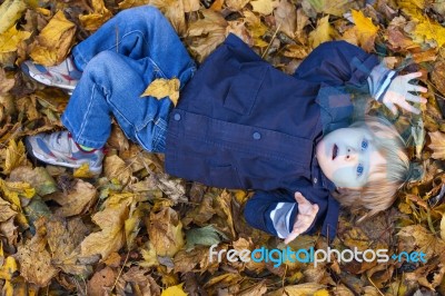 Toddler Blond Boy With Blue Eyes Lays On Bed Of Autumn Fallen Le… Stock Photo