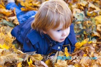 Toddler Blond Boy With Blue Eyes Lays On Bed Of Autumn Fallen Le… Stock Photo