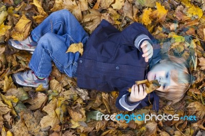 Toddler Blond Boy With Blue Eyes Lays On Bed Of Autumn Fallen Le… Stock Photo