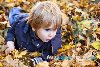 Toddler Blond Boy With Blue Eyes Lays On Bed Of Autumn Fallen Le… Stock Photo