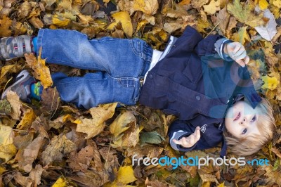 Toddler Blond Boy With Blue Eyes Lays On Bed Of Autumn Fallen Le… Stock Photo