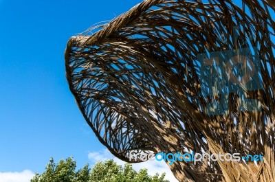 Tom Hare's Fungi Fairy Ring At Kew Gardens Stock Photo