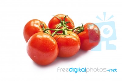 Tomato Stock Photo