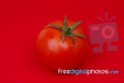 Tomato Stock Photo