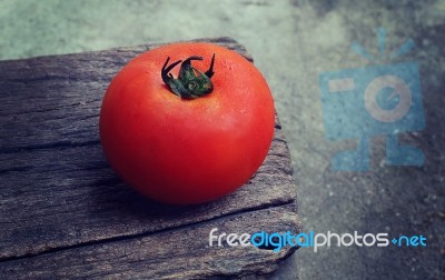 Tomato Stock Photo