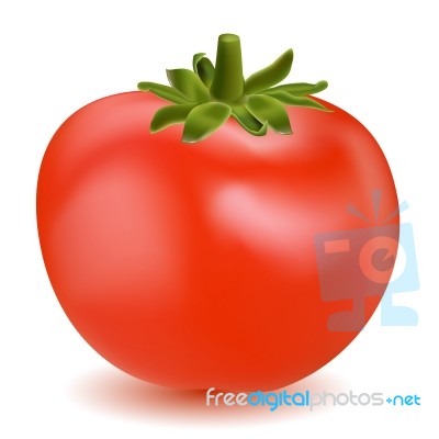 Tomato Stock Image