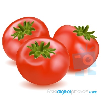 Tomato Stock Image