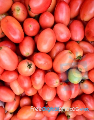 Tomato Stock Photo