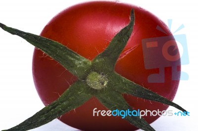 Tomato Stock Photo