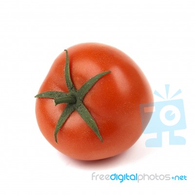 Tomato Stock Photo