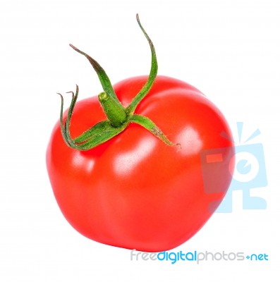 Tomato Isolated On The White Background Stock Photo