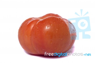 Tomato On White Stock Photo