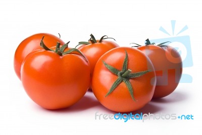 Tomatoes Stock Photo