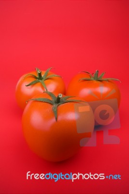 Tomatoes Stock Photo