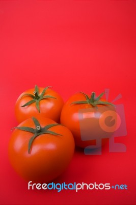 Tomatoes Stock Photo