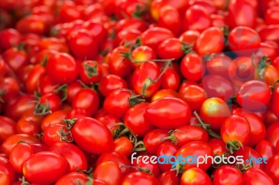 Tomatoes Stock Photo