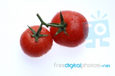 Tomatoes Stock Photo