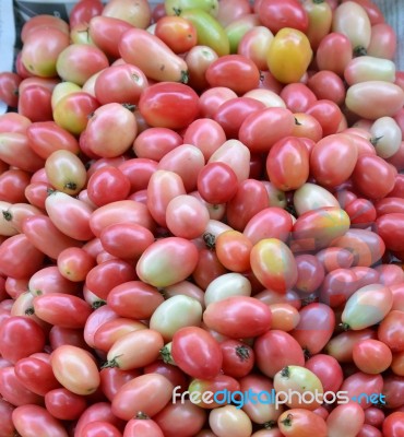 Tomatoes Stock Photo