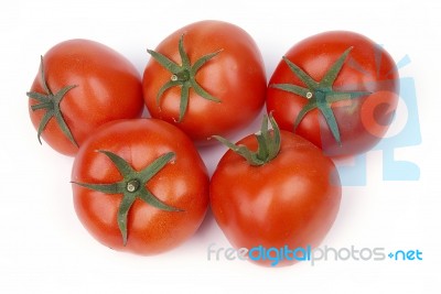 Tomatoes Stock Photo