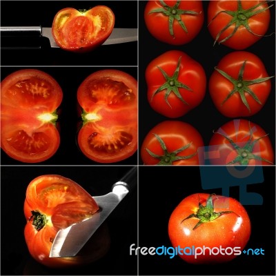 Tomatoes Collage Stock Photo