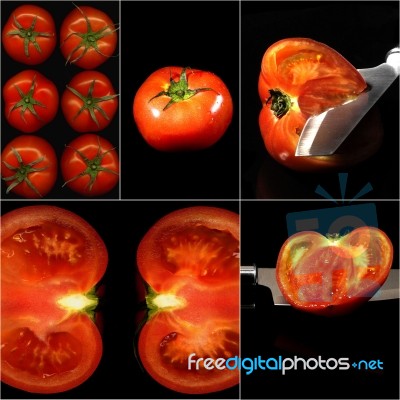 Tomatoes Collage Stock Photo