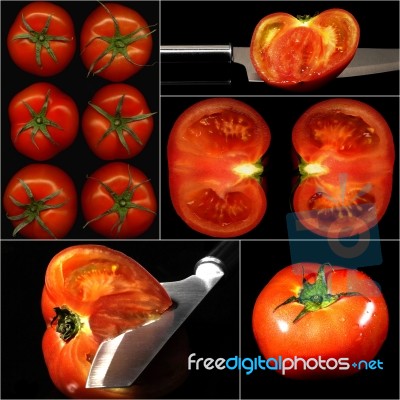 Tomatoes Collage Stock Photo