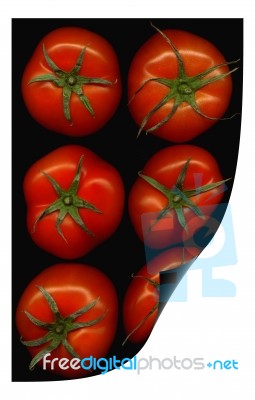 Tomatoes Curl Distortion Stock Photo