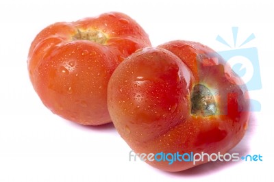 Tomatoes On White Stock Photo