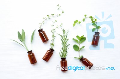 Top View, Bottle Of Essential Oil With Herbs  Sage, Rosemary, Or… Stock Photo