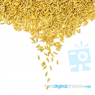 Top View Of Paddy Rice And Rice Seed On The White Background For Isolated Stock Photo